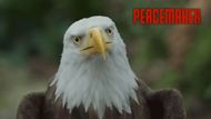 Eagly in the Peacemaker show | Image via: HBOMax